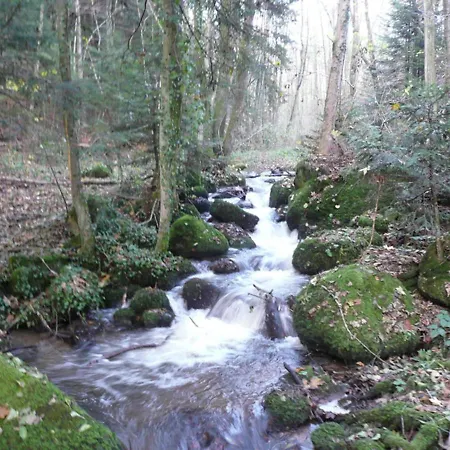 شقة Serene In Rickenbach Near Ski Lift Rickenbach (Baden-Wurttemberg)